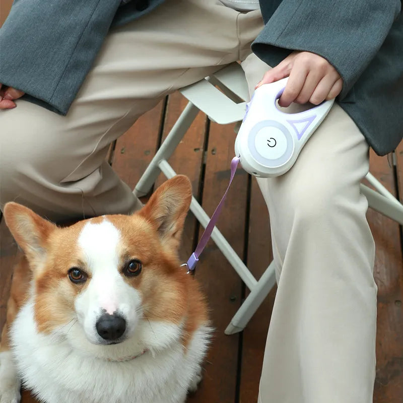 Dog Retractable Leash And Dog Collar
